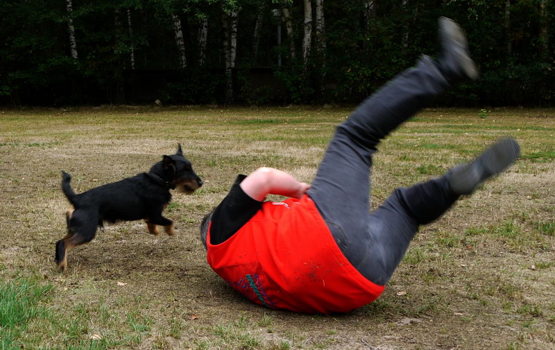 Andrea Kühne mit Deutschem Jagdterrier "Pikus" beim hochmotivierten Bewegungsspiel Foto: Evelin Kühne Andrea Kühne und Pikus Bewegungsspiel